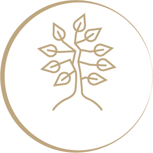 FLRS JB Pikto Baum 09 FLRS JB Pikto Baum 09